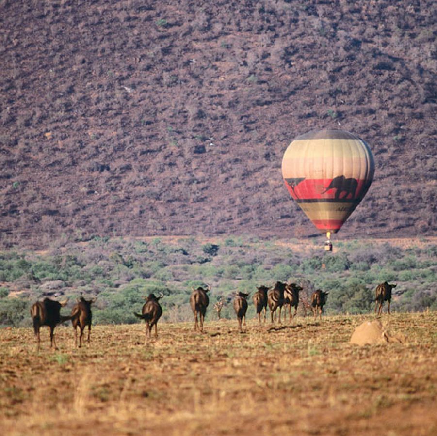 Pilanesberg National Park. Hot air balloon 